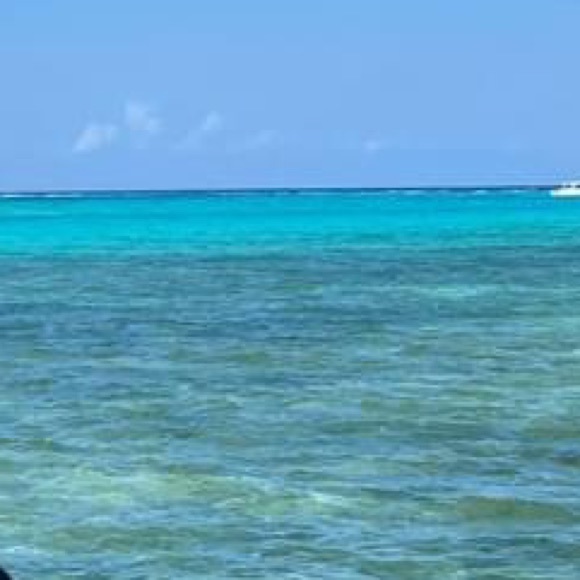 Meet your Posher, Kenzie - Picture 1 of 1